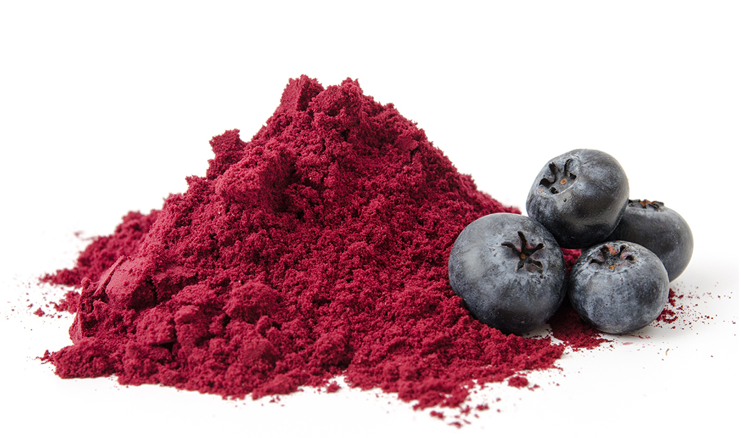 🍍 Fruit Powders (Instant Mix)